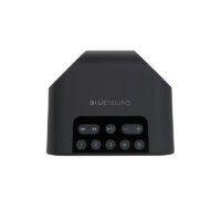 Bluesound Pulse Flex 2i