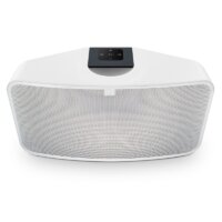 Bluesound PULSE MINI 2i